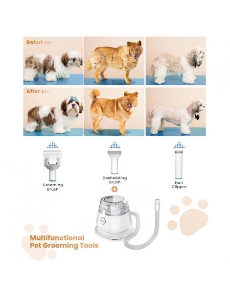 INSE P20 Tagliacapelli 5 in 1 per cani aspiratore tagliacapelli per animali domestici Soddisfazione Garantita