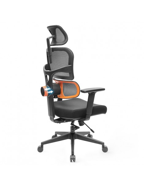 NEWTRAL Sedia Standard NT001 Sedia ergonomica adattiva con supporto per la parte bassa della schiena Nuova