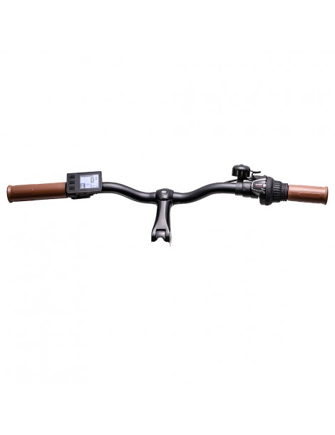 Bezior M2 Pro Ciclomotore elettrico 500W Motore 12.5Ah Batteria- Nero 2025