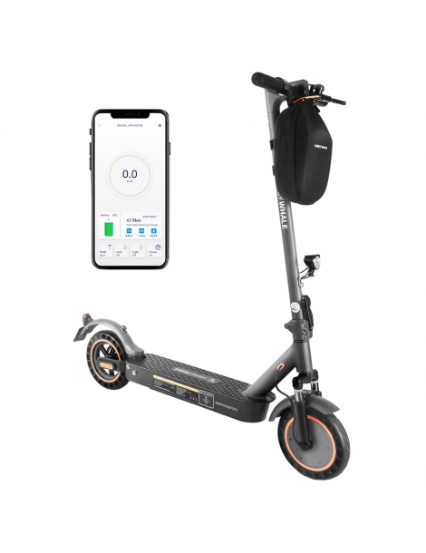 HONEYWHALE E9 MAX con omologazione stradale (ABE) scooter elettrico pieghevole con motore da 500W batteria da 36V 10Ah Consegna Veloce