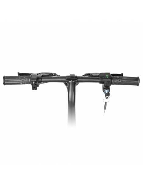 LAIFOOK Dolphin Bici Elettrica Pieghevole Motore 250W Batteria 36V 7.8AH Pneumatico 14 pollici - Nero Convenienza