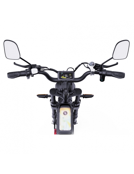 Ridstar Q20 Pro Off-road bicicletta elettrica doppia 1000W motore 52V 20AH doppia batteria Acquista Ora