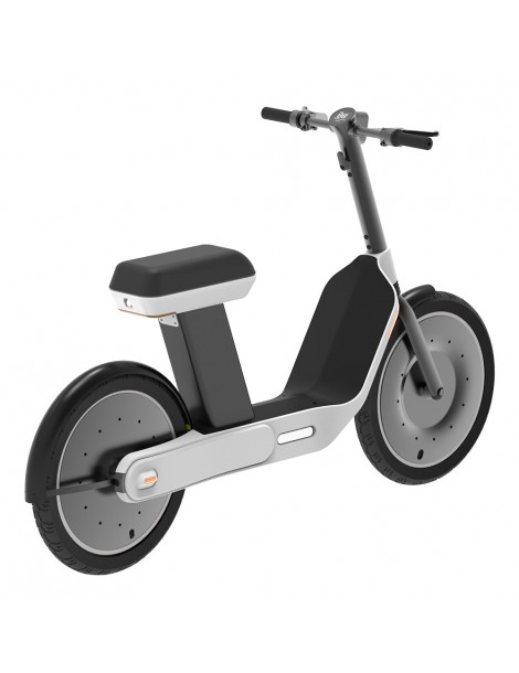 GLOOV Adder Scooter Elettrico Pieghevole con Pneumatici da 20 Pollici - Motore da 1000W e Batteria da 20Ah Offerta per la Festa della Mamma