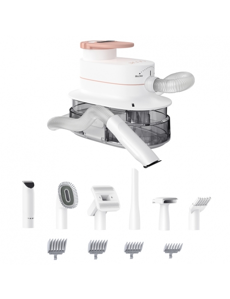 JIGOO P300 Kit aspirapolvere per animali domestici 11 in 1 3 modalità di velocità contenitore per la polvere da 4 litri Liquidazione