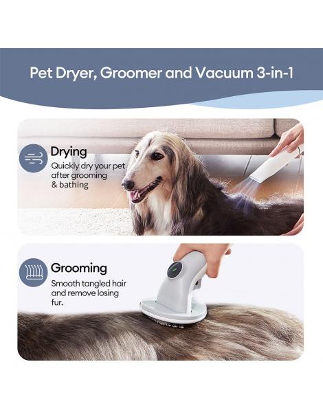 Ultenic P30 20KPa Kit di asciugatura per animali domestici Latest stili