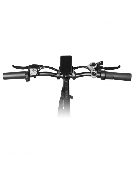 LAIFOOK Cityfun S Bicicletta elettrica pieghevole motore 250W batteria da 48V 10.4AH pneumatici grassi da 20 x 4.0" - Nero Acquista Ora