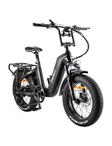 FAFREES F20 Master E-bike 20*4.0 pollici pneumatico 500W trazione posteriore 25km/h velocità massima-Nero Shopping Online