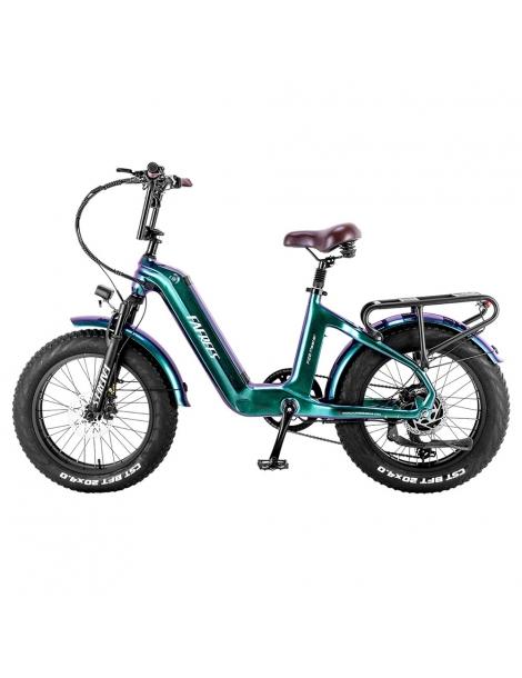 FAFREES F20 Master E-bike 20*4.0 pollici pneumatico 500W trazione posteriore 25km/h velocità massima-Verde Affare Del Giorno