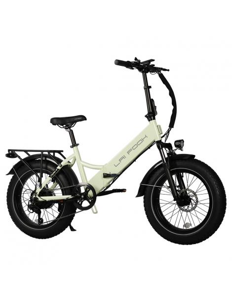 LAIFOOK Cityfun S Bicicletta elettrica pieghevole motore da 250W batteria da 48V 10.4AH pneumatici grassi da 20*4.0" - Verde Economico