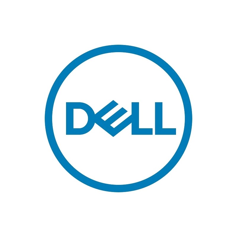 DELL 161-BCFV disco rigido interno 2.5" 2 4 TB SAS In Saldo