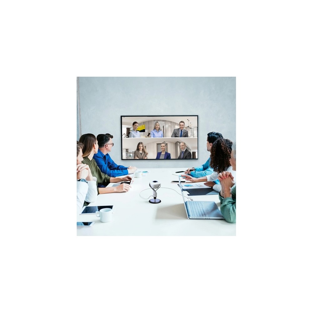 j5create 360° AI-Powered Webcam with Speakerphone Vendite Flash