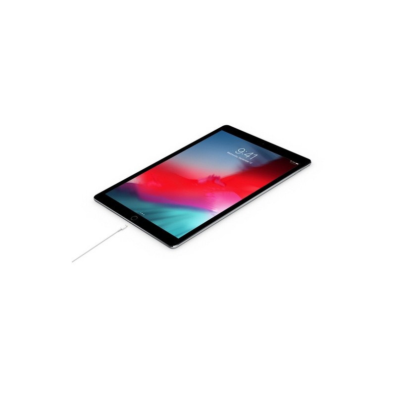 APPLE Cavo Apple Lightning a USB-C Negozi Online