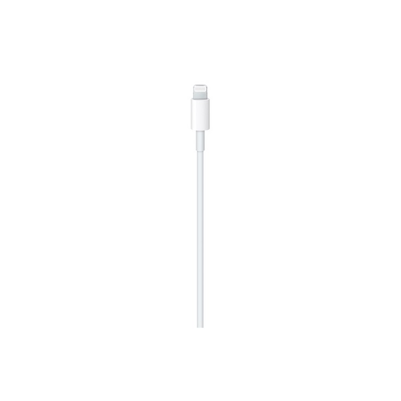 APPLE Cavo Apple Lightning a USB-C Negozi Online