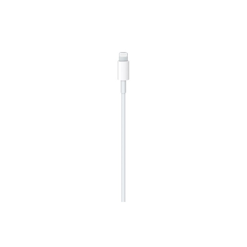 APPLE CAVO APPLE LIGHTNING USB-C Vendita Economica