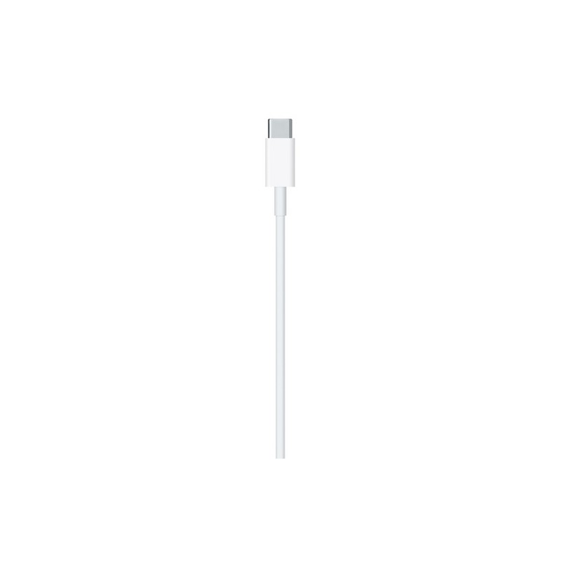 APPLE CAVO APPLE LIGHTNING USB-C Vendita Economica
