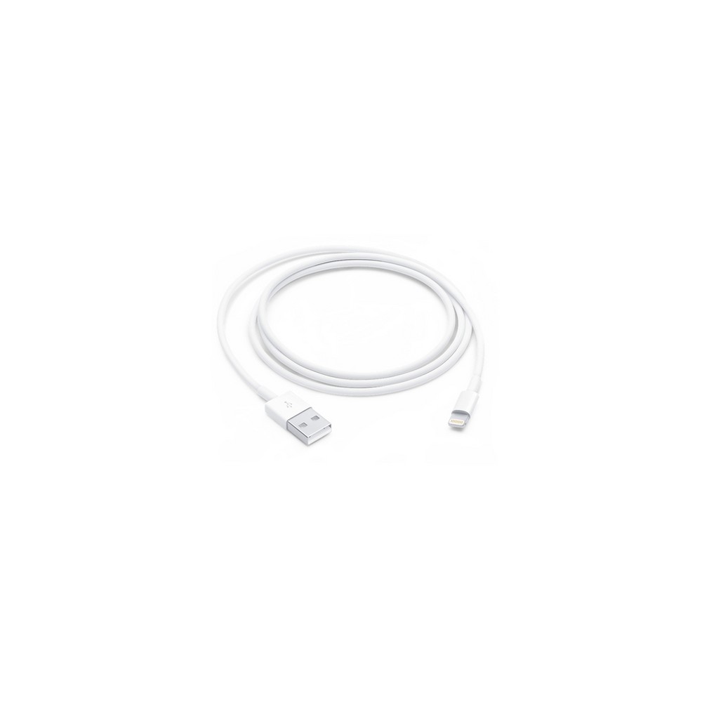 APPLE CAVO APPLE DA LIGHTNING A USB Vendita Economica