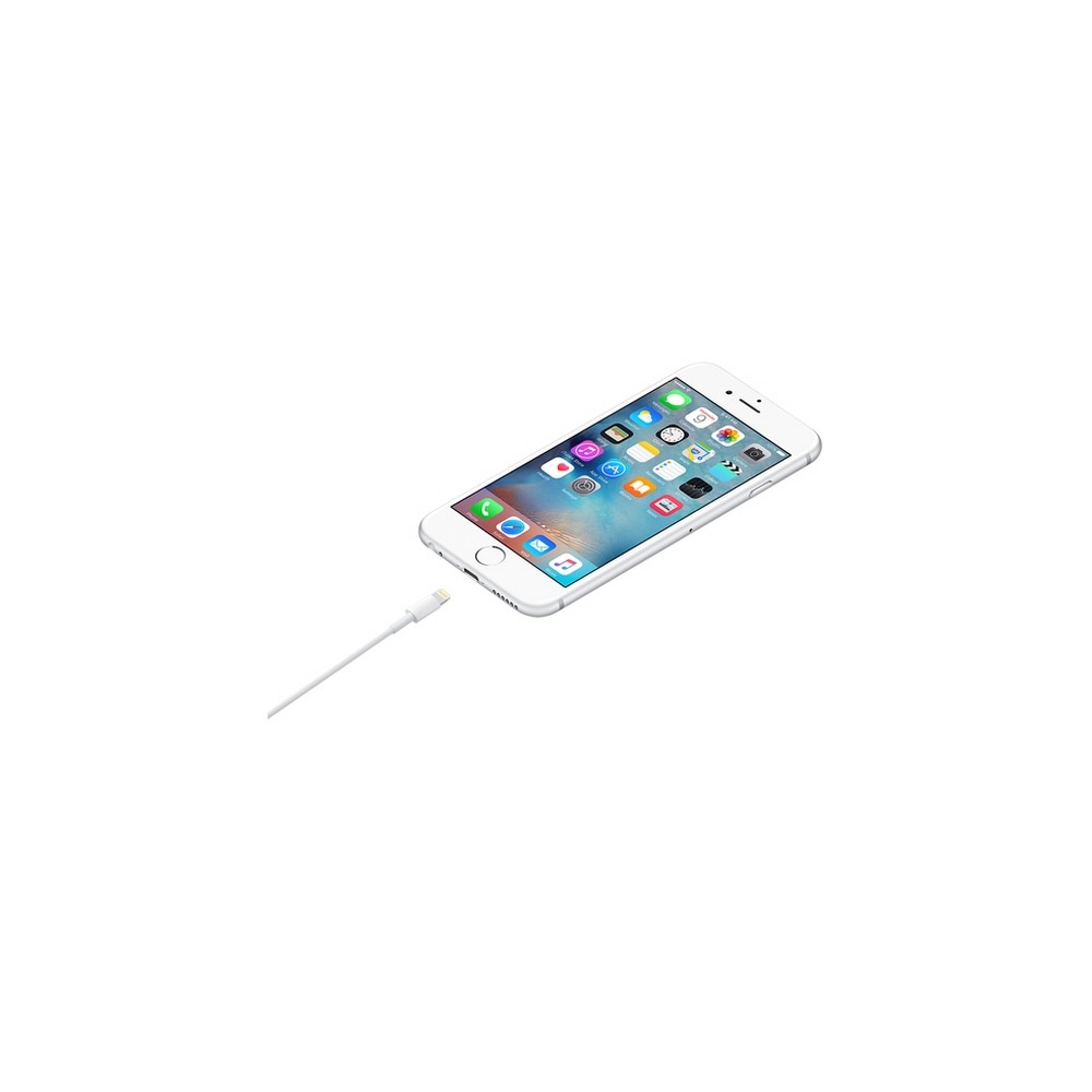 APPLE CAVO APPLE DA LIGHTNING A USB Vendita Economica