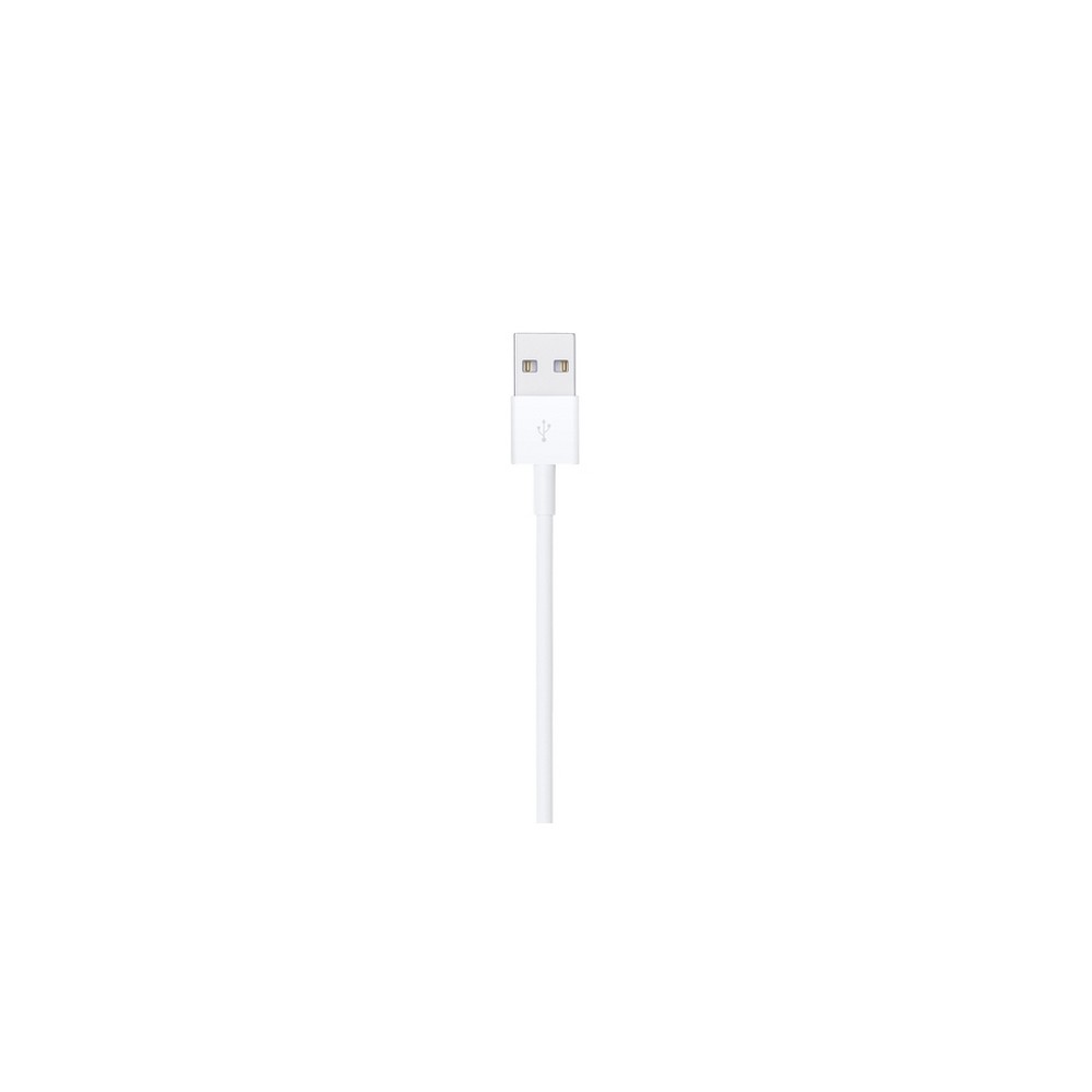 APPLE CAVO APPLE DA LIGHTNING A USB Vendita Economica